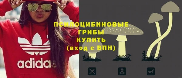 индика Богородицк