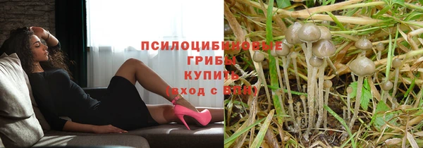 прущие крисы Арсеньев