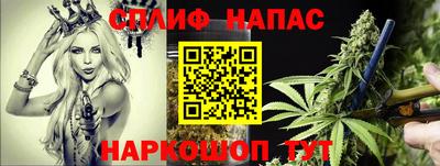 каннабис Новокубанск