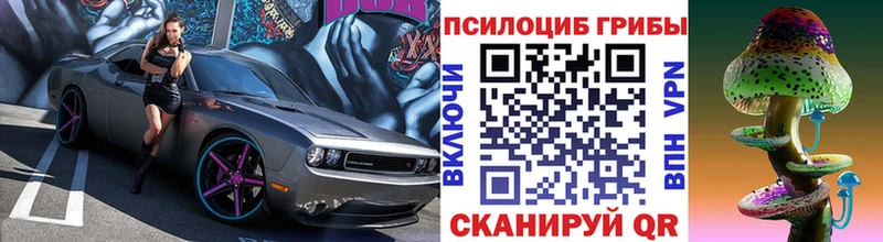 Псилоцибиновые грибы GOLDEN TEACHER  где продают   darknet какой сайт  Шадринск 