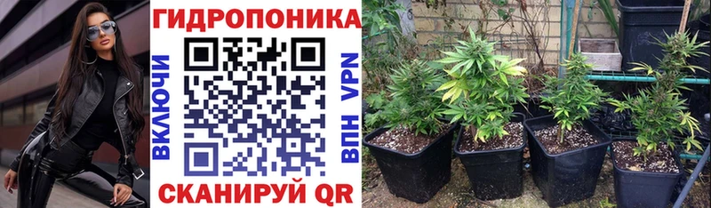 наркота  Шадринск  Каннабис индика 