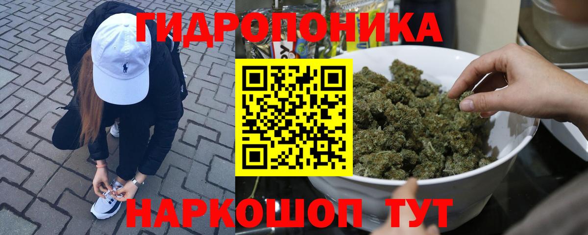 Бошки марихуана AK-47  Каннабис AK-47  Канабис AK-47  Шадринск  Шишки марихуана OG Kush  Вход с VPN 